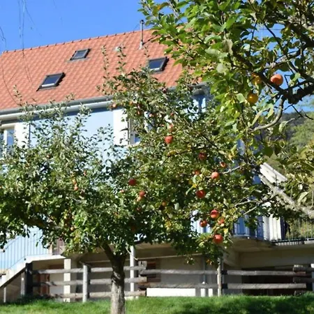 Les Locations de Stéphanie ,Gite Le Verger Sondernach Exterior foto