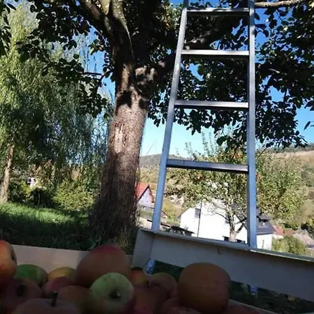 Les Locations de Stéphanie ,Gite Le Verger Sondernach Exterior foto