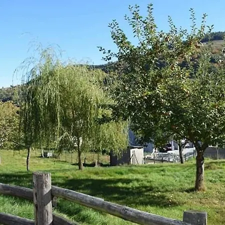 Les Locations de Stéphanie ,Gite Le Verger Sondernach Exterior foto