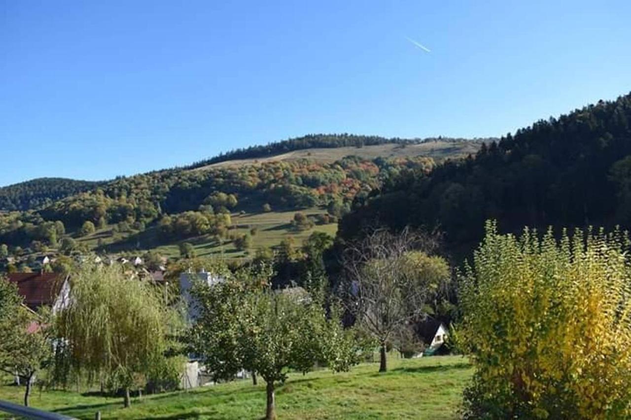 Les Locations De Stéphanie ,gite Le Verger *
