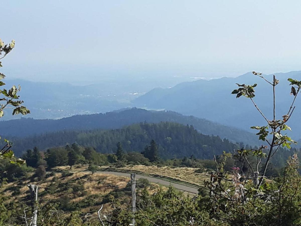 Les Locations De Stéphanie ,gite Le Verger *