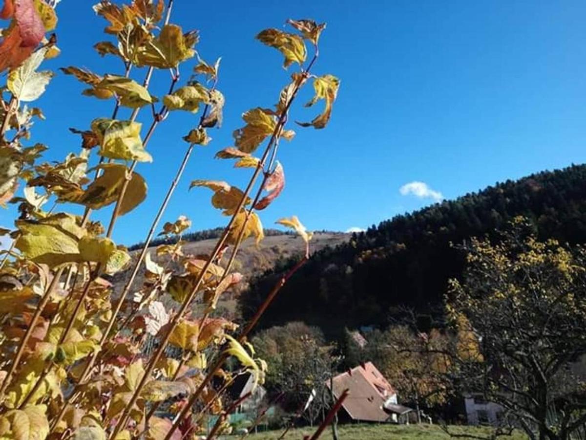 Les Locations De Stéphanie ,gite Le Verger Apartment Sondernach