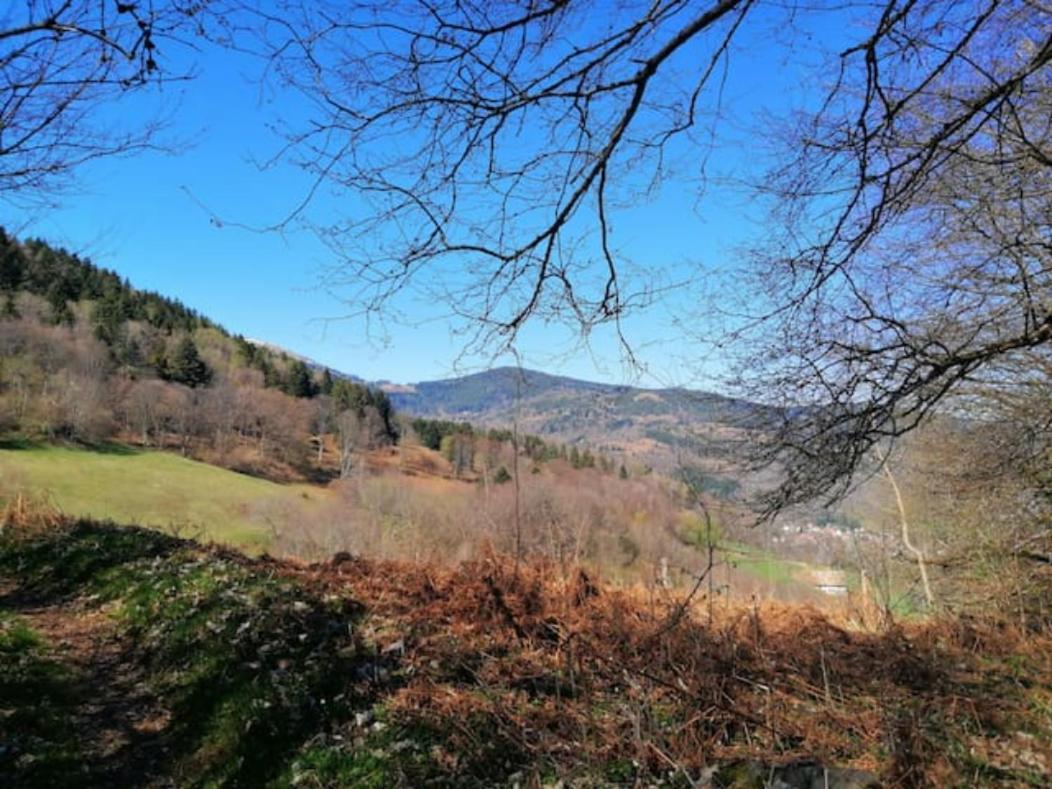 Les Locations De Stéphanie ,gite Le Verger *